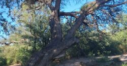 GRAN CAMPO DE 12Ha. EN EL RINCON- SAN MARCOS SIERRAS