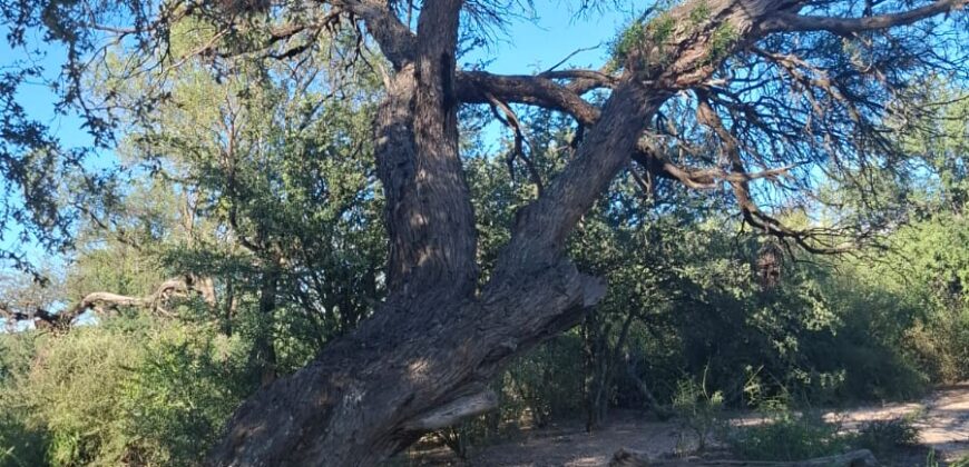 GRAN CAMPO DE 12Ha. EN EL RINCON- SAN MARCOS SIERRAS