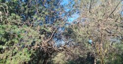 GRAN CAMPO DE 12Ha. EN EL RINCON- SAN MARCOS SIERRAS