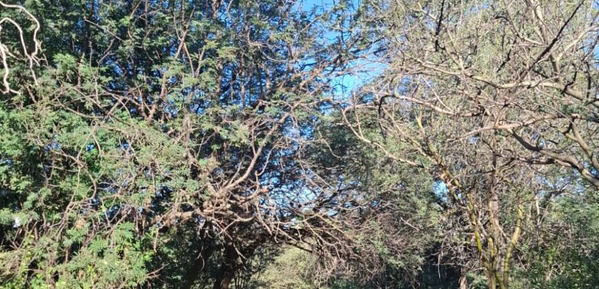 GRAN CAMPO DE 12Ha. EN EL RINCON- SAN MARCOS SIERRAS