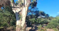 GRAN CAMPO DE 12Ha. EN EL RINCON- SAN MARCOS SIERRAS