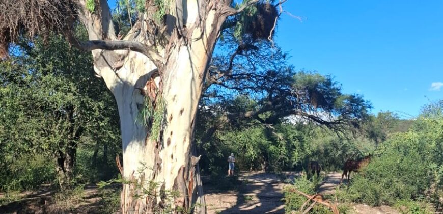 GRAN CAMPO DE 12Ha. EN EL RINCON- SAN MARCOS SIERRAS