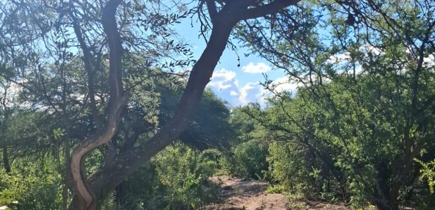 GRAN CAMPO DE 12Ha. EN EL RINCON- SAN MARCOS SIERRAS