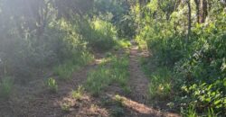 GRAN CAMPO DE 12Ha. EN EL RINCON- SAN MARCOS SIERRAS