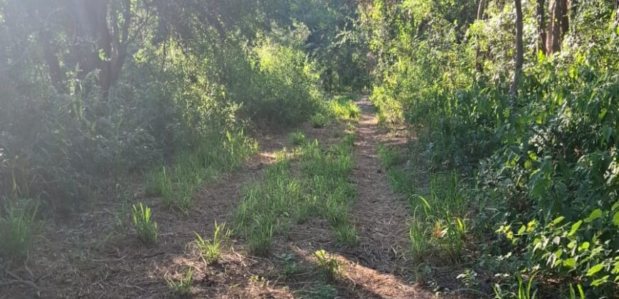 GRAN CAMPO DE 12Ha. EN EL RINCON- SAN MARCOS SIERRAS
