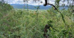 DOS DOMOS EN LAS SIERRAS – TERRENO DE 1.130m2