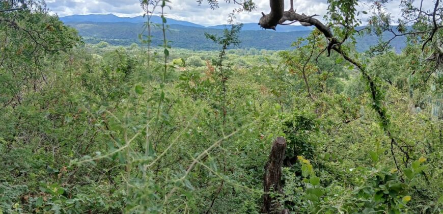 DOS DOMOS EN LAS SIERRAS – TERRENO DE 1.130m2