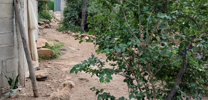 DOS DOMOS EN LAS SIERRAS – TERRENO DE 1.130m2