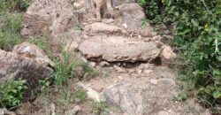 DOS DOMOS EN LAS SIERRAS – TERRENO DE 1.130m2