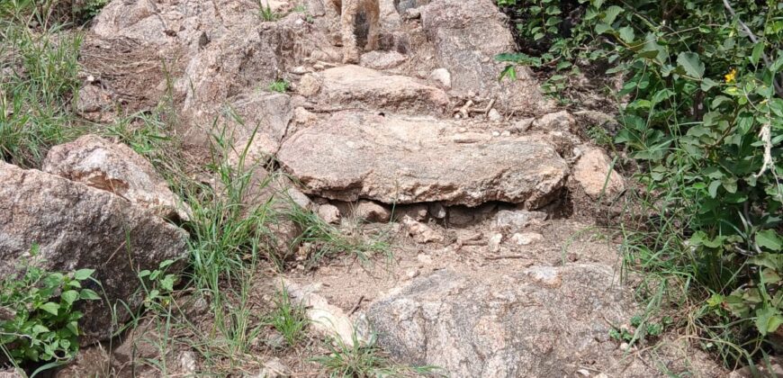 DOS DOMOS EN LAS SIERRAS – TERRENO DE 1.130m2