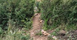 DOS DOMOS EN LAS SIERRAS – TERRENO DE 1.130m2