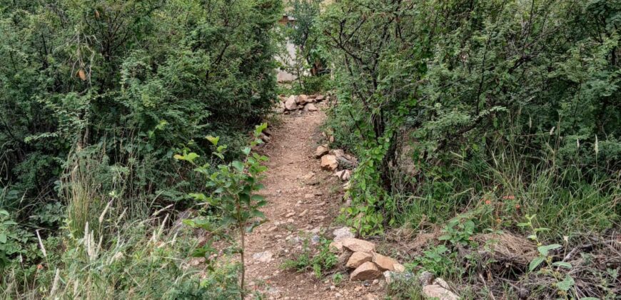 DOS DOMOS EN LAS SIERRAS – TERRENO DE 1.130m2