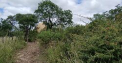 DOS DOMOS EN LAS SIERRAS – TERRENO DE 1.130m2