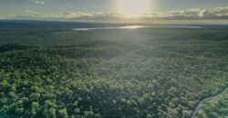 CAMPO DE 13 HECTAREAS EN SAN MARCOS SIERRAS- OPORTUNIDAD DE INVERSION