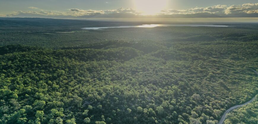 CAMPO DE 13 HECTAREAS EN SAN MARCOS SIERRAS- OPORTUNIDAD DE INVERSION