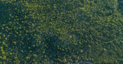 CAMPO DE 13 HECTAREAS EN SAN MARCOS SIERRAS- OPORTUNIDAD DE INVERSION