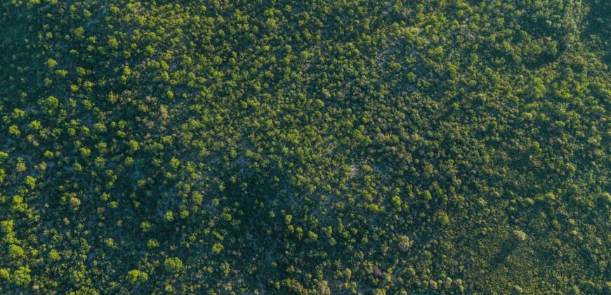 CAMPO DE 13 HECTAREAS EN SAN MARCOS SIERRAS- OPORTUNIDAD DE INVERSION
