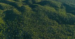 CAMPO DE 13 HECTAREAS EN SAN MARCOS SIERRAS- OPORTUNIDAD DE INVERSION