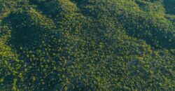 CAMPO DE 13 HECTAREAS EN SAN MARCOS SIERRAS- OPORTUNIDAD DE INVERSION