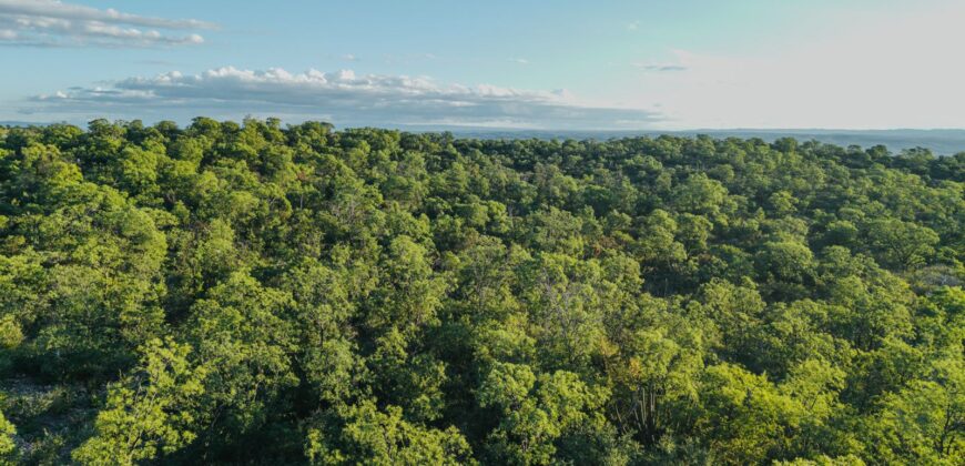 CAMPO DE 13 HECTAREAS EN SAN MARCOS SIERRAS- OPORTUNIDAD DE INVERSION