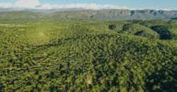 CAMPO DE 13 HECTAREAS EN SAN MARCOS SIERRAS- OPORTUNIDAD DE INVERSION