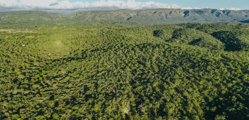 CAMPO DE 13 HECTAREAS EN SAN MARCOS SIERRAS- OPORTUNIDAD DE INVERSION