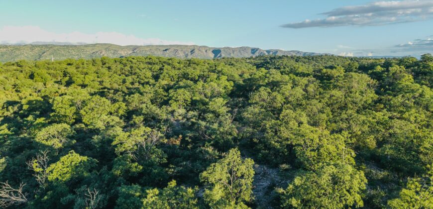 CAMPO DE 13 HECTAREAS EN SAN MARCOS SIERRAS- OPORTUNIDAD DE INVERSION