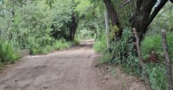 SE VENDE CASA + DEPARTAMENTO- SUP.12.719m2- LAS GRAMILLAS