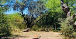 SE VENDEN DOS CASAS EN EL RINCON CON AMPLIO PARQUE, LISTAS PARA HABITAR!