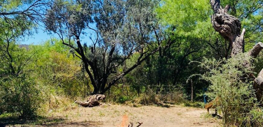 SE VENDEN DOS CASAS EN EL RINCON CON AMPLIO PARQUE, LISTAS PARA HABITAR!