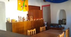 CHALET SOBRE CALLE SAN MARTIN- CASA+DOS DORMIS+LOCAL COMERCIAL