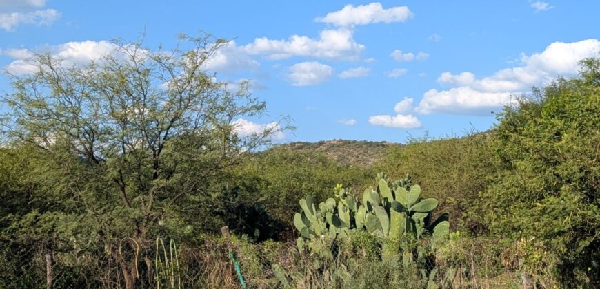 Se vende – alquila casa con pileta en la banda norte – 2.5km del centro