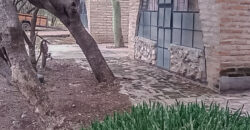 AMPLIA PROPIEDAD EN VENTA – BARRIO LAS GRAMILLAS
