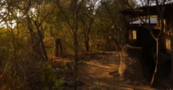 SE VENDE | CASA DE ADOBE OCTOGONAL